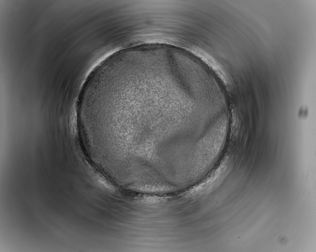 X0000102520782200808221840