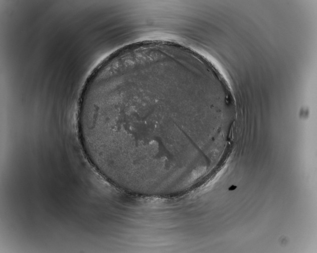 X0000102520783200808221840