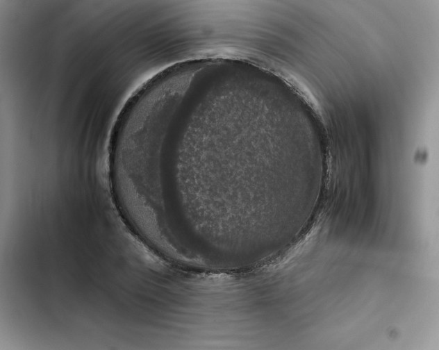 X0000102520784200808221840