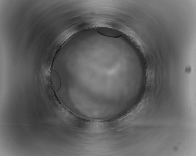 X0000102520785200808221840