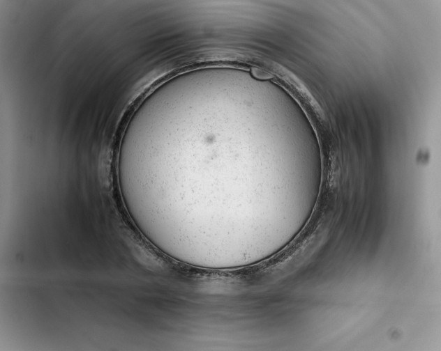 X0000102520786200808221840