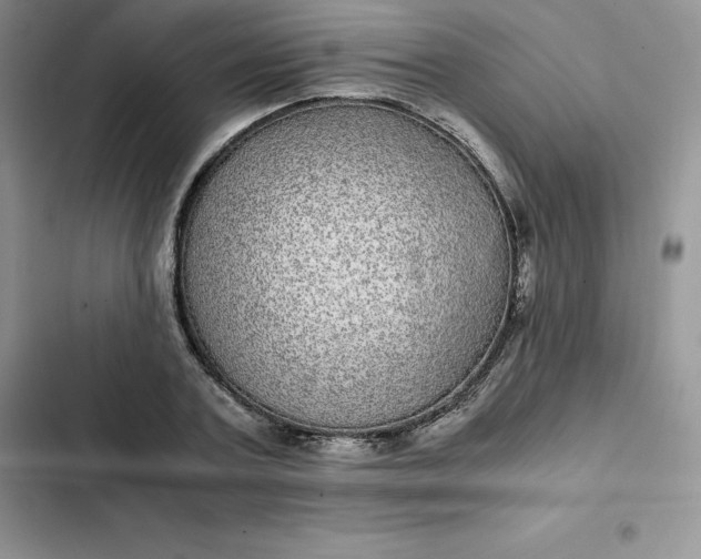 X0000102520787200808221840