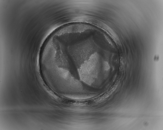 X0000102520788200808221840