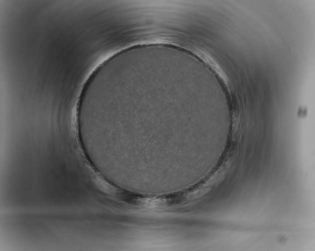 X0000102520789200808221840