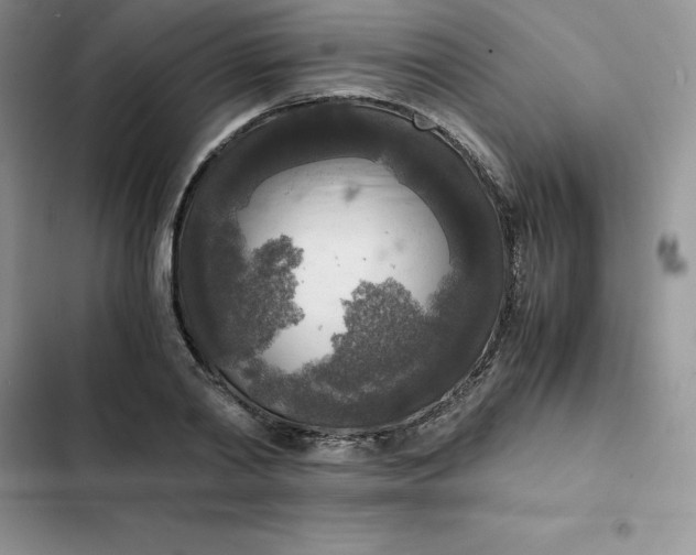 X0000102520790200808221840