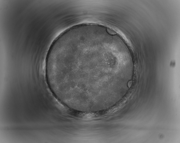 X0000102520791200808221840