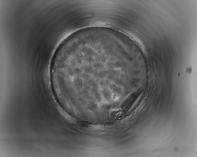 X0000102520792200808221840