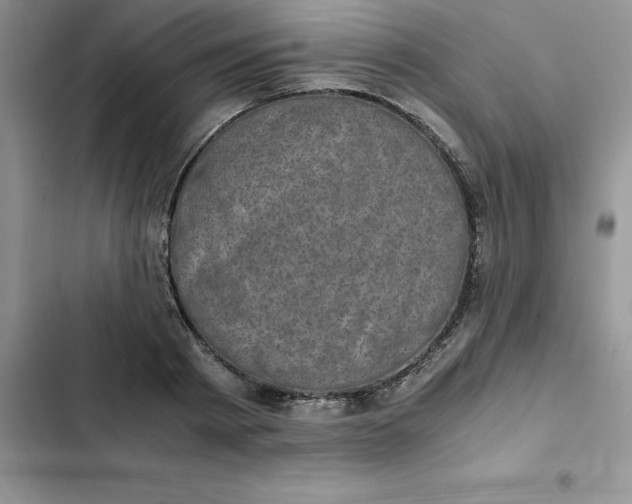 X0000102520793200808221840