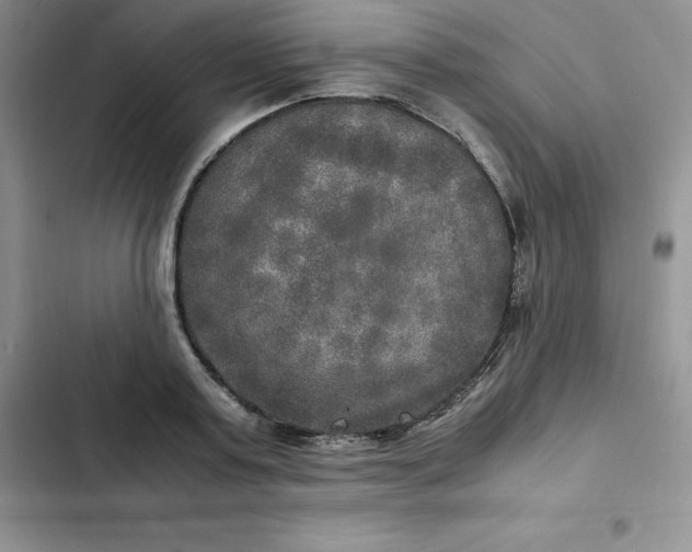 X0000102520795200808221840