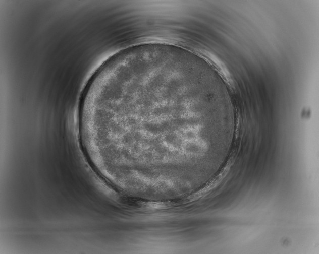 X0000102520796200808221840