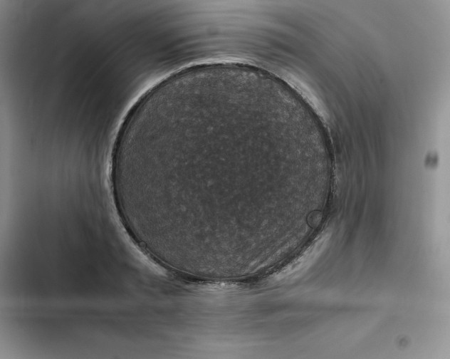 X0000102520797200808221840