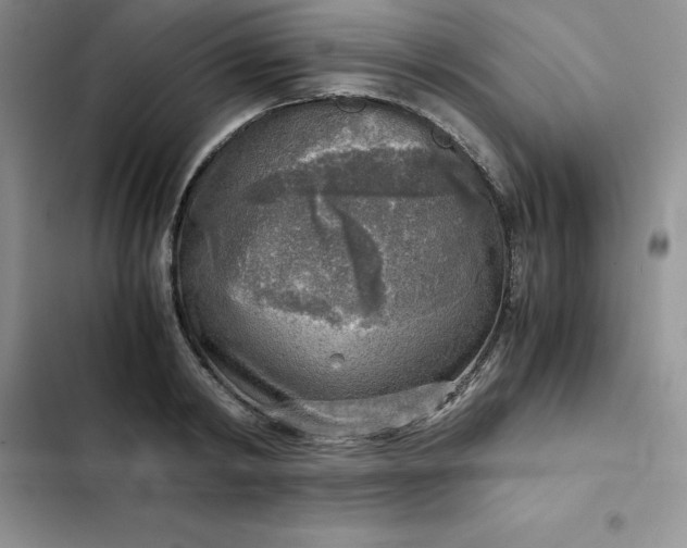 X0000102520798200808221840