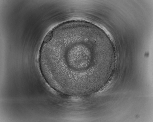 X0000102520799200808221840