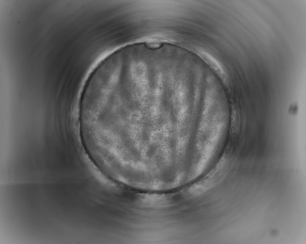 X0000102520800200808221840