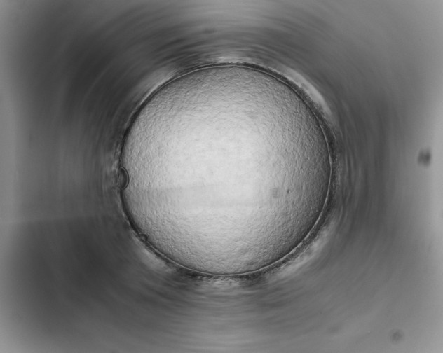 X0000102520801200808221840