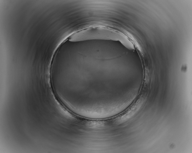 X0000102520802200808221840