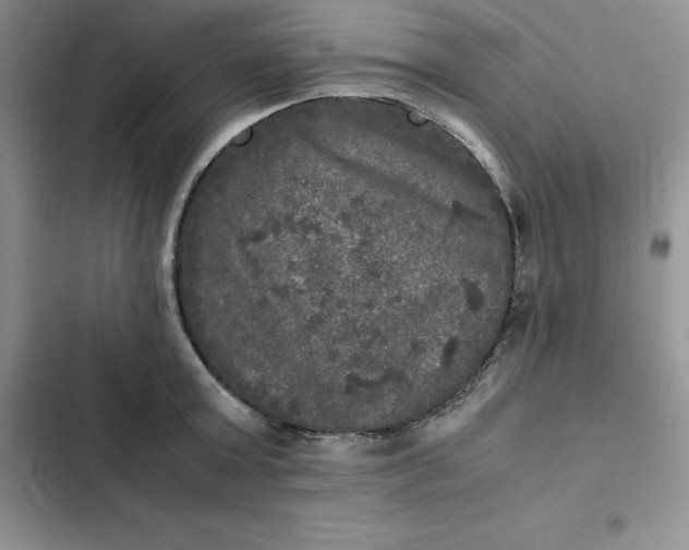 X0000102520803200808221840