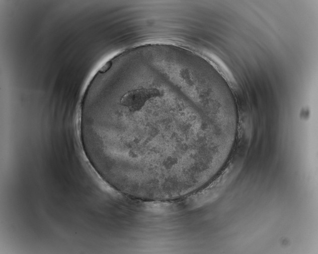 X0000102520804200808221840