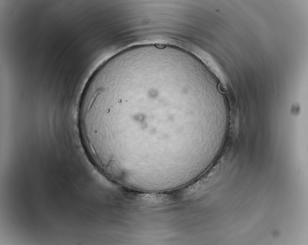 X0000102520805200808221840