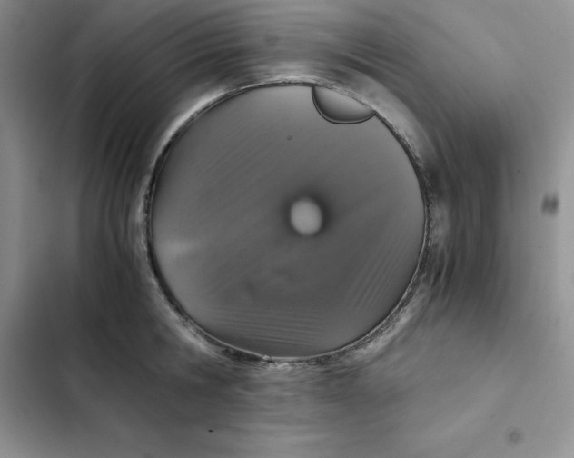 X0000102520806200808221840