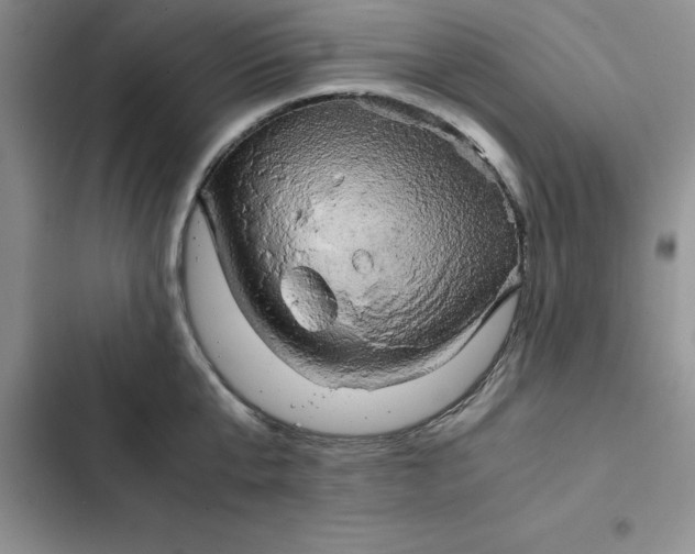 X0000102520807200808221840