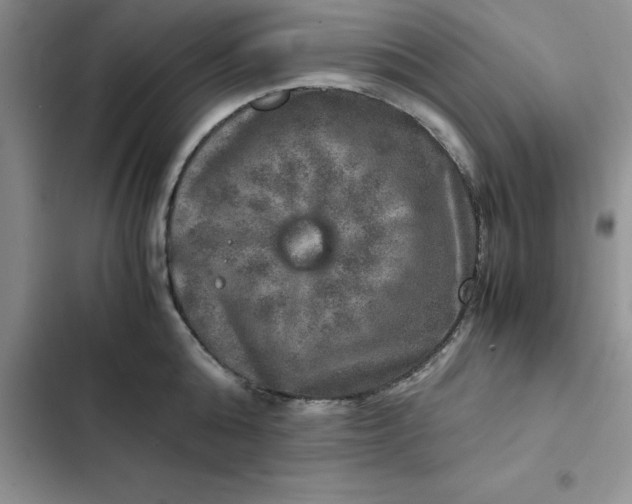 X0000102520808200808221840