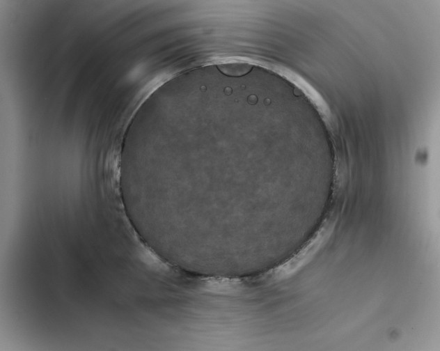 X0000102520809200808221840