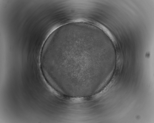 X0000102520810200808221840