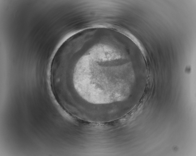 X0000102520811200808221840