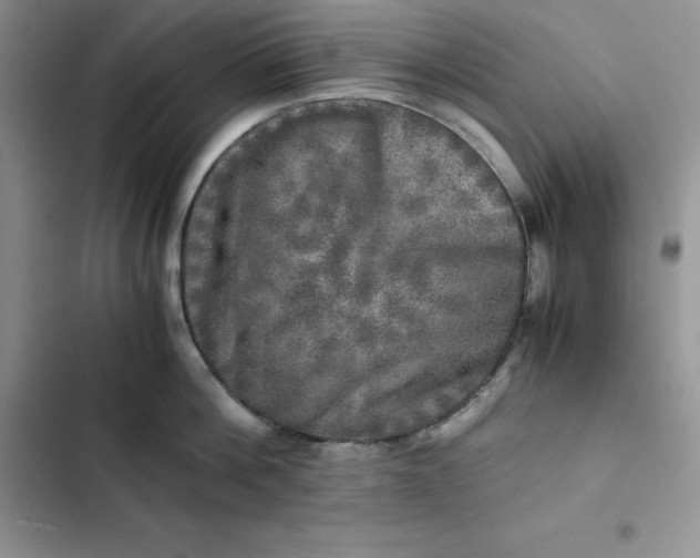 X0000102520812200808221840