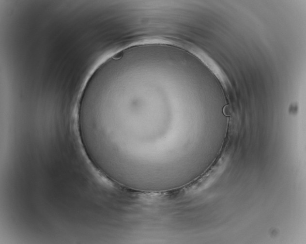 X0000102520813200808221840