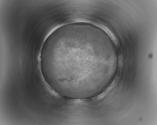 X0000102520814200808221840