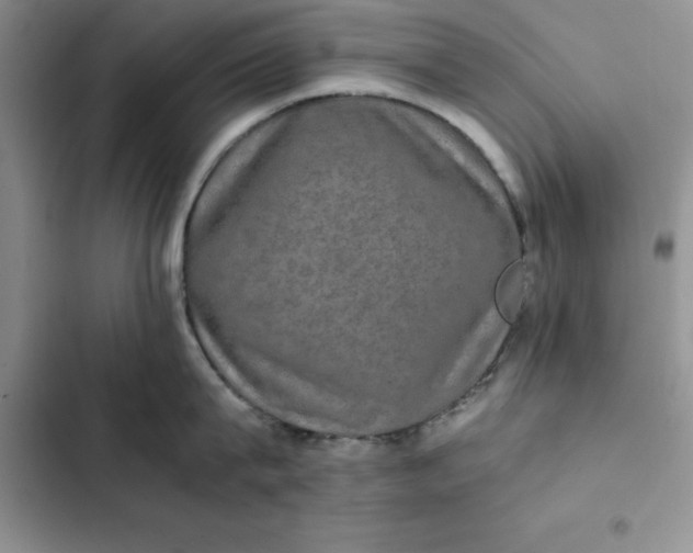 X0000102520815200808221840