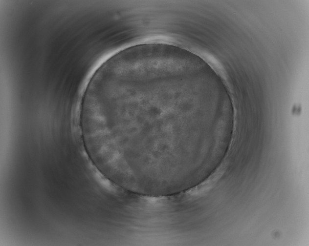 X0000102520816200808221840