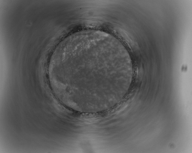 X0000102520817200808221839