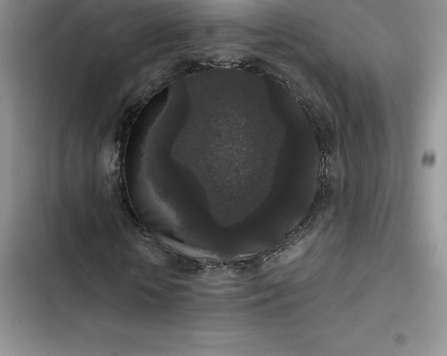 X0000102520818200808221839