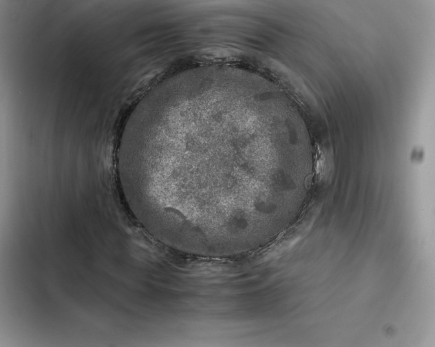 X0000102520819200808221839