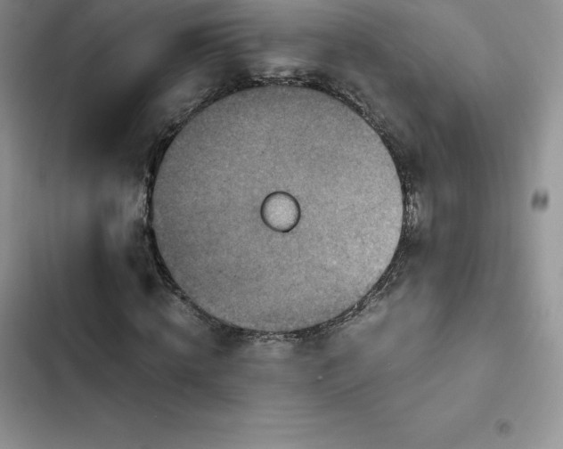 X0000102520820200808221839