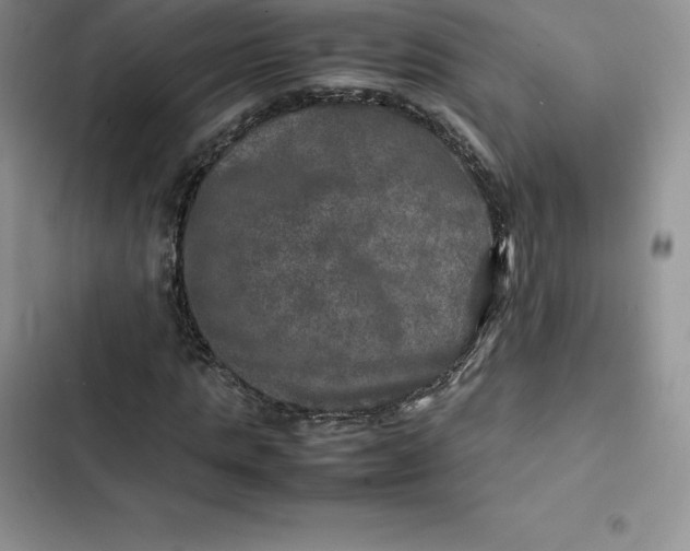 X0000102520821200808221839