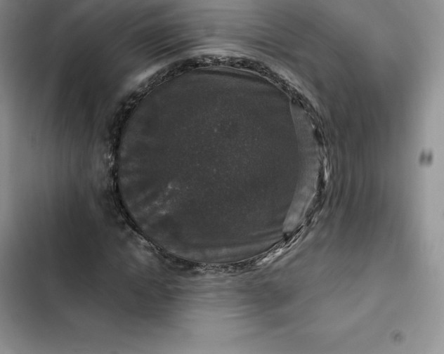 X0000102520822200808221839