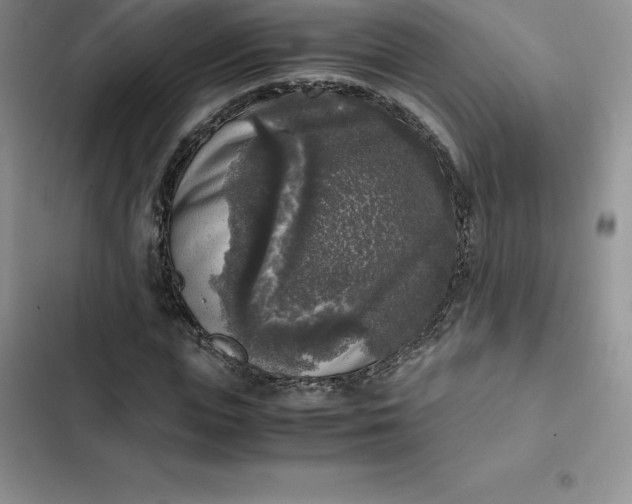 X0000102520823200808221839