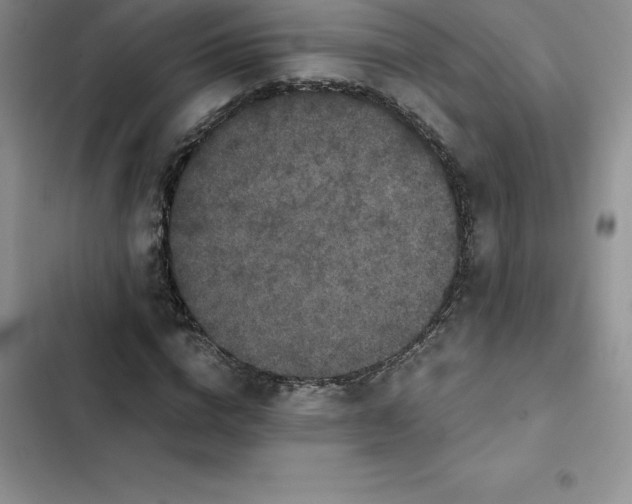 X0000102520824200808221839