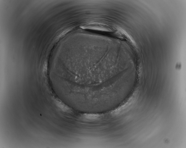 X0000102520825200808221839