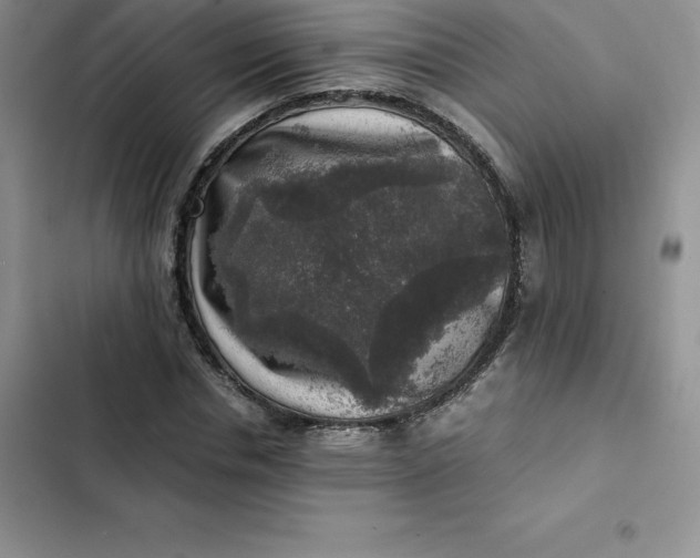 X0000102520826200808221839