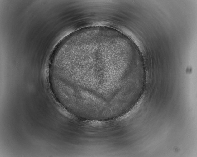 X0000102520827200808221839