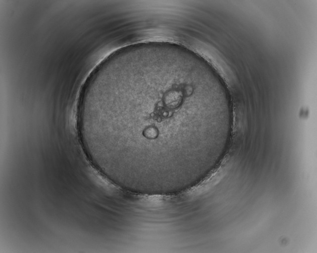 X0000102520828200808221839