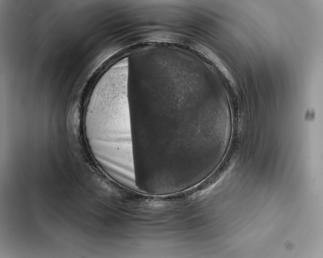 X0000102520829200808221839