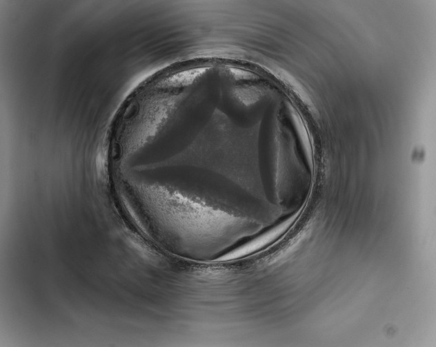 X0000102520830200808221839