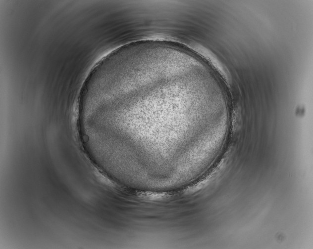 X0000102520831200808221839