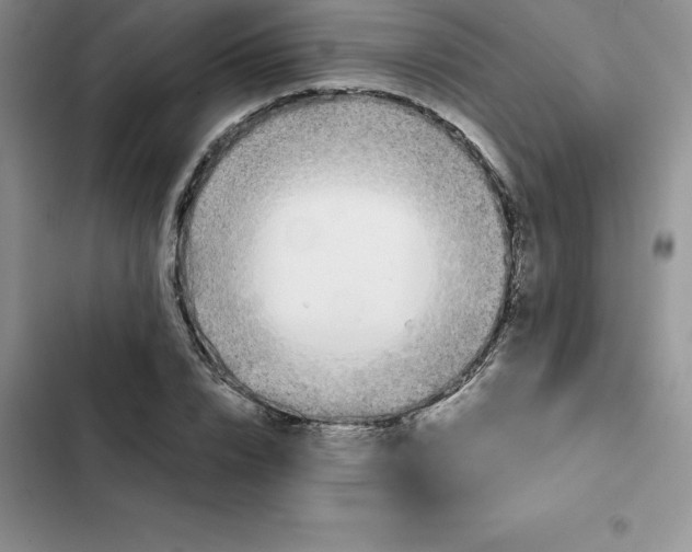 X0000102520832200808221839